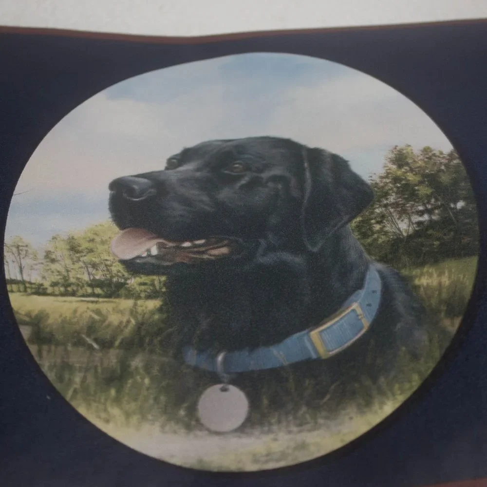 Seabrook Designs Dog Wall Boarder 2 Rolls 5 Yards Each